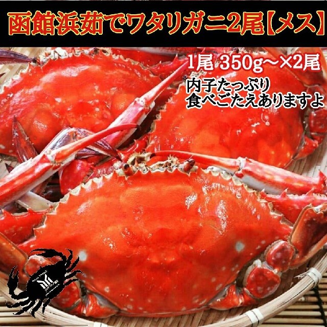 函館浜茹でワタリガニ２尾【メス】 食品/飲料/酒の食品(魚介)の商品写真