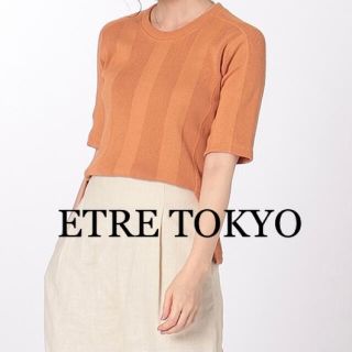 アメリヴィンテージ(Ameri VINTAGE)のETRE TOKYO コットンリネンランダムリブプルオーバー(ニット/セーター)