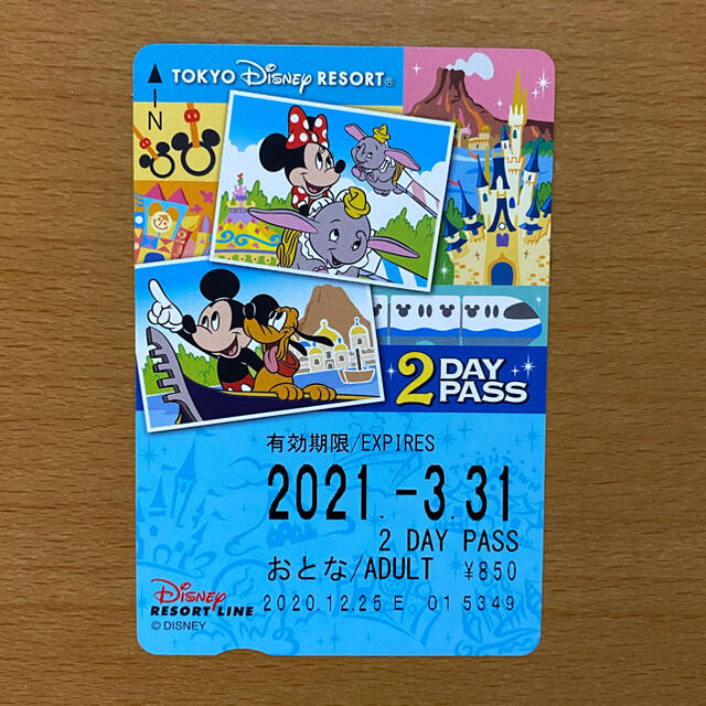 Disney(ディズニー)のディズニーリゾートライン2day pass 1枚 チケットの施設利用券(遊園地/テーマパーク)の商品写真