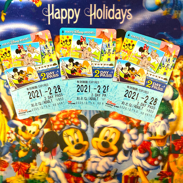Disney(ディズニー)のディズニーリゾートライン☆2daypass☆ チケットの施設利用券(遊園地/テーマパーク)の商品写真