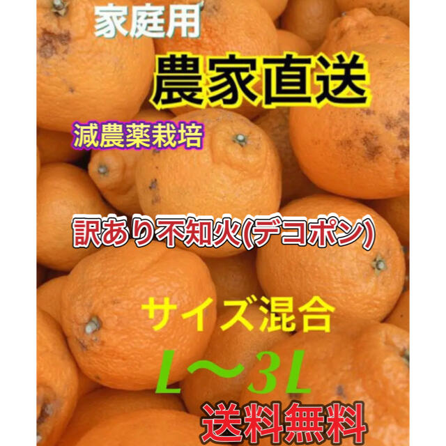 熊本県産 デコポン【不知火】箱込 20kg 家庭用