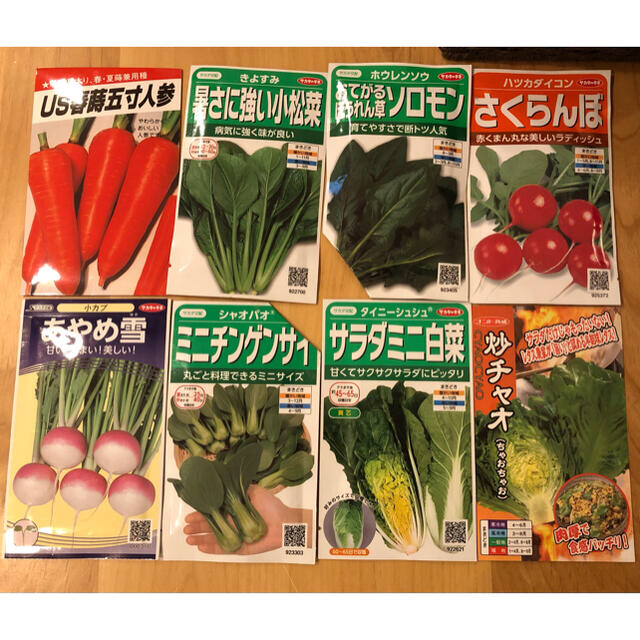 野菜の種 5種類セット 食品/飲料/酒の食品(野菜)の商品写真