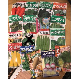 野菜の種 4〜8種類セット(野菜)