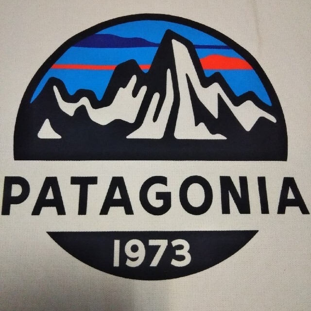 patagonia(パタゴニア)のpatagonia Markettote✰新品同様✨完売品パタゴニアトートバッグ レディースのバッグ(トートバッグ)の商品写真