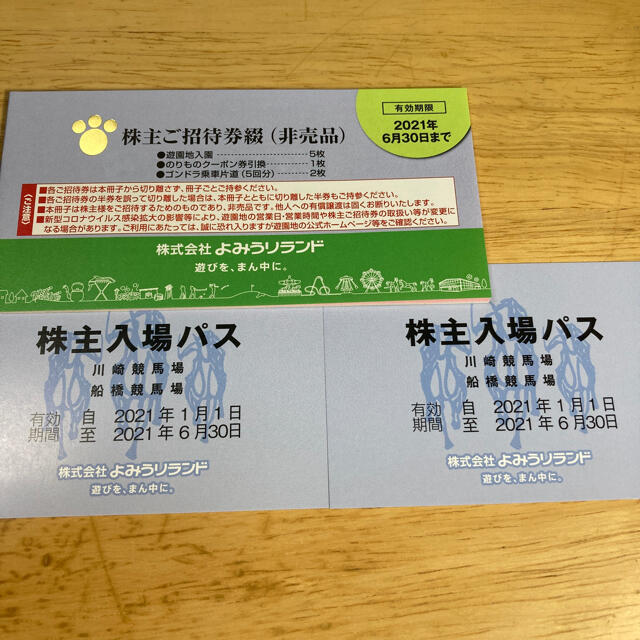 よみうりランド 株主優待綴 (2冊) 有効期限 2021年6月30日 - 遊園地