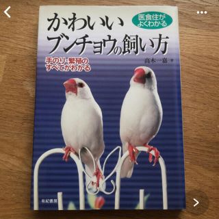 「かわいいブンチョウの飼い方 医食住がよくわかる」(小動物)