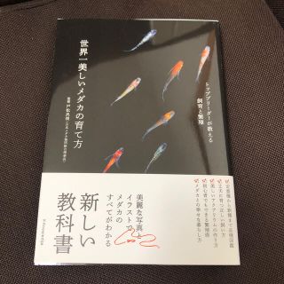 世界一美しいメダカの育て方 トップリーダーが教える飼育と繁殖(趣味/スポーツ/実用)