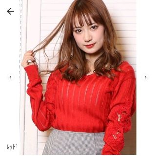 ダズリン(dazzlin)のdazzlin 新品タグ付 袖レース デザインニット定価6,050円(ニット/セーター)