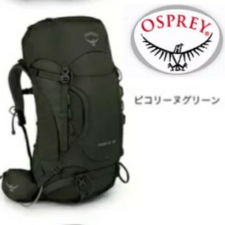 オスプレイ(Osprey)のオスプレイ ケストレル38 大容量バックパック ピコリーヌグリーン (登山用品)