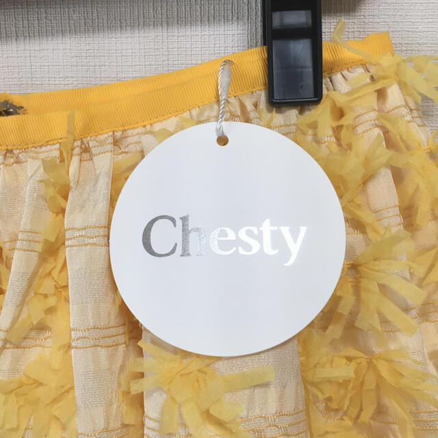 Chesty(チェスティ)の《新品》Chesty スカート レディースのスカート(ひざ丈スカート)の商品写真