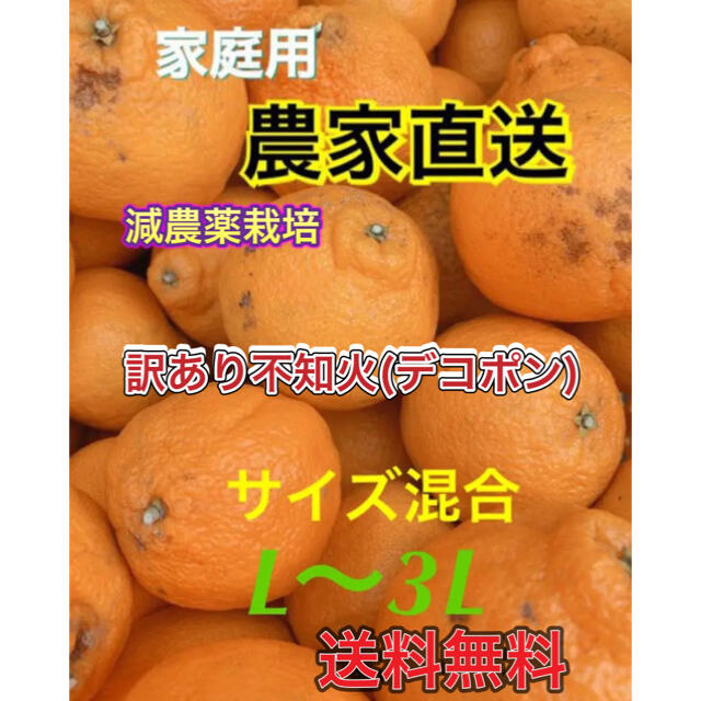 熊本県産 農家直送　減農薬 訳あり不知火18kg