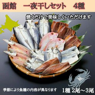 函館人気一夜干しセット【４種類】(その他)