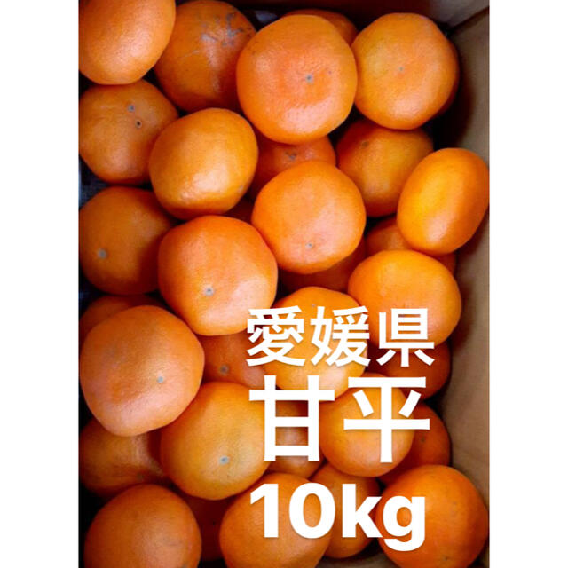 食品○愛媛県　甘平　10kg