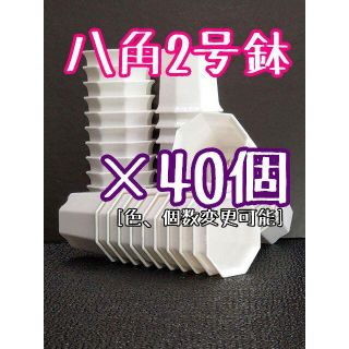 八角鉢 (白) 2号 ◎40個◎ 2寸 シャトル鉢 ホワイト(プランター)