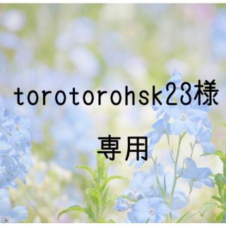 torotorohsk23様専用お米　令和2年　愛媛県産キヌヒカリ　玄米　30㎏(米/穀物)