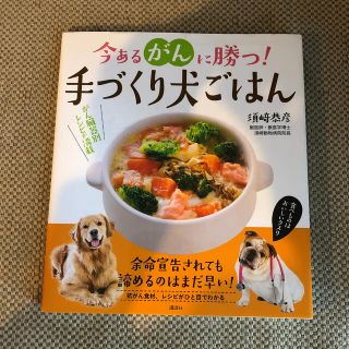 コウダンシャ(講談社)の今あるがんに勝つ！手づくり犬ごはん 食べものはおいしいクスリ(住まい/暮らし/子育て)