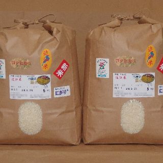 《サンニン様専用》令和2年産☆減農薬菜の花米☆10kg☆近江米コシヒカリ☆白米(米/穀物)