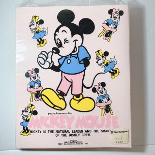 ディズニー(Disney)のディズニーランド　ミッキーミニー　アルバム(キャラクターグッズ)