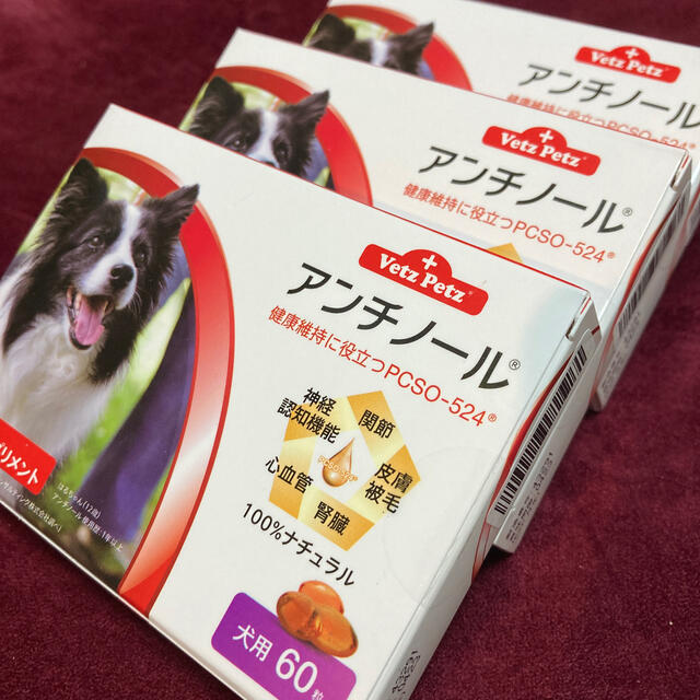新品未開封】アンチノール 60粒入り 3箱セット 犬用 新品未開封】アンチノール 60粒入り 3箱セット 犬用