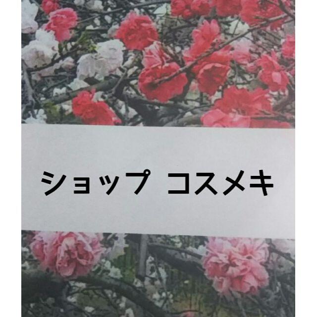 七夕は大ヒットです のり様専用 化粧水/ローション | udibank.com.br