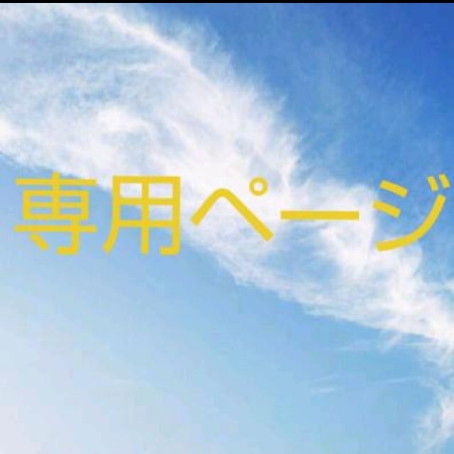 ８ｃｍ深さTIGRECHATさま専用 イルビゾンテ ボディバッグ ウエストバッグ