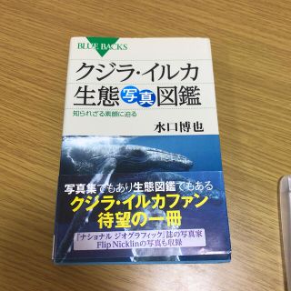 クジラ・イルカ生態写真図鑑 知られざる素顔に迫る(文学/小説)