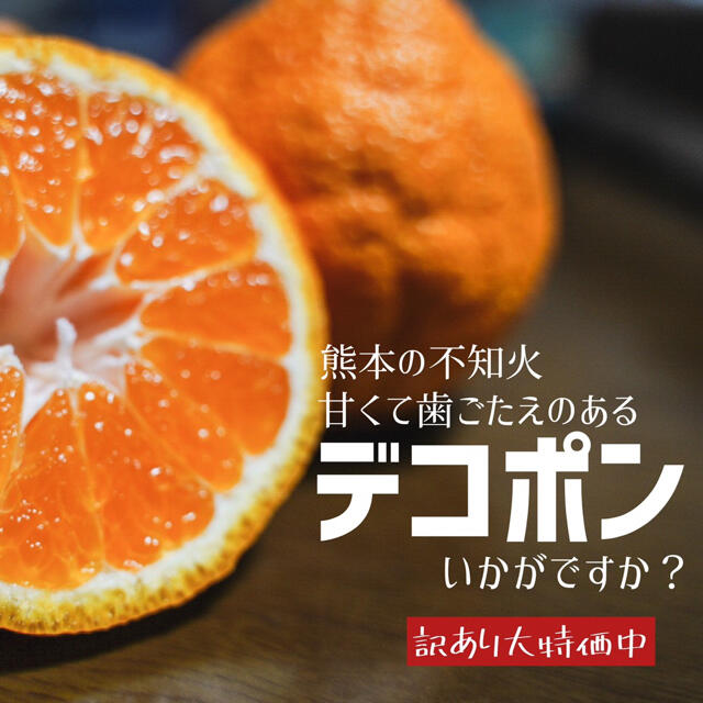 熊本県産　デコポン　10キロ 食品/飲料/酒の食品(フルーツ)の商品写真