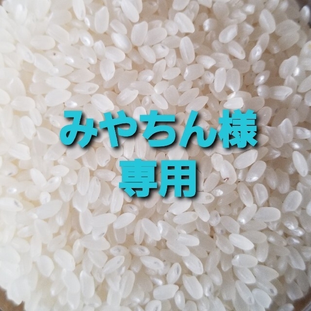 食品青森県産　青天の霹靂10㎏