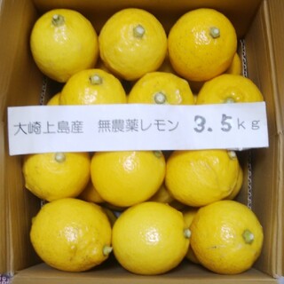 広島県大崎上島無農薬レモン　3.5kg(フルーツ)