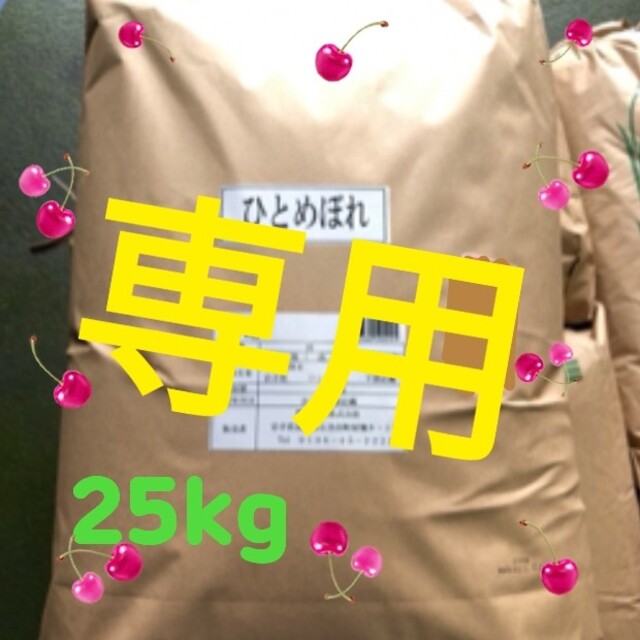 ちょうちょ様専用 お米 ひとめぼれ 25kg 5kg×5袋 R2年度岩手県産 www