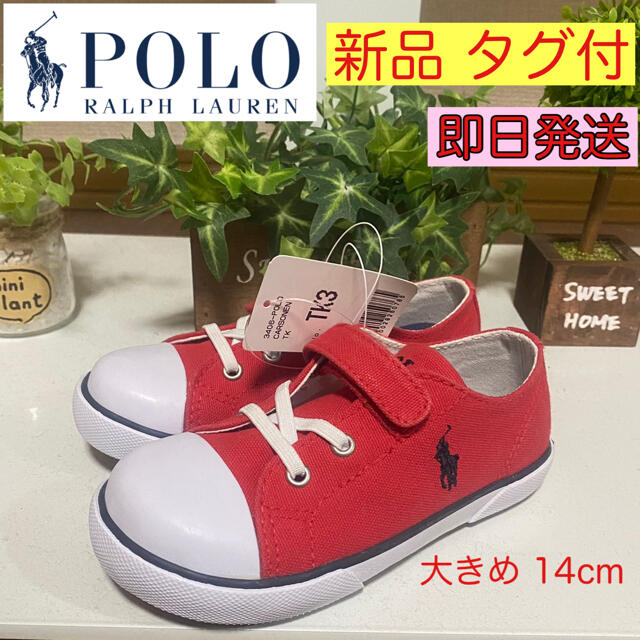 Polo Ralph Lauren ラルフローレン キッズ スニーカー ポロ 14cm 新品タグ付 送料無料の通販 By M 全商品即日発送 ポロラルフローレンならラクマ Polo Ralph Lauren ラルフローレン キッズ スニーカー ポロ 14cm 新品タグ付 送料無料の通販 By M 全商品即日発送 ポロラルフローレンならラクマ
