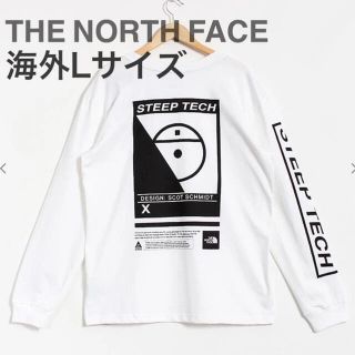 ザノースフェイス(THE NORTH FACE)のTHE NORTH FACE  ロンT   海外Lサイズ(Tシャツ/カットソー(七分/長袖))