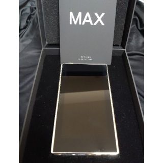 ibasso DX220 MAX(ポータブルプレーヤー)