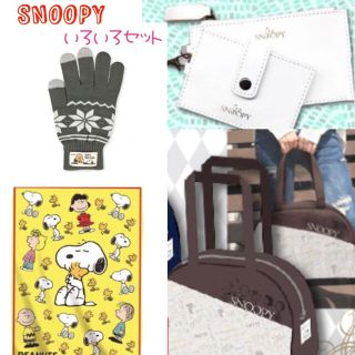 スヌーピー(SNOOPY)のスヌーピー セット ブランケット 手袋 ネックウォレット バッグ 新品 福袋(キャラクターグッズ)