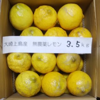 広島県大崎上島無農薬レモン　3.5kg(フルーツ)