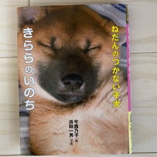 しろちゃん様専用　ねだんのつかない子犬・きららのいのち(絵本/児童書)