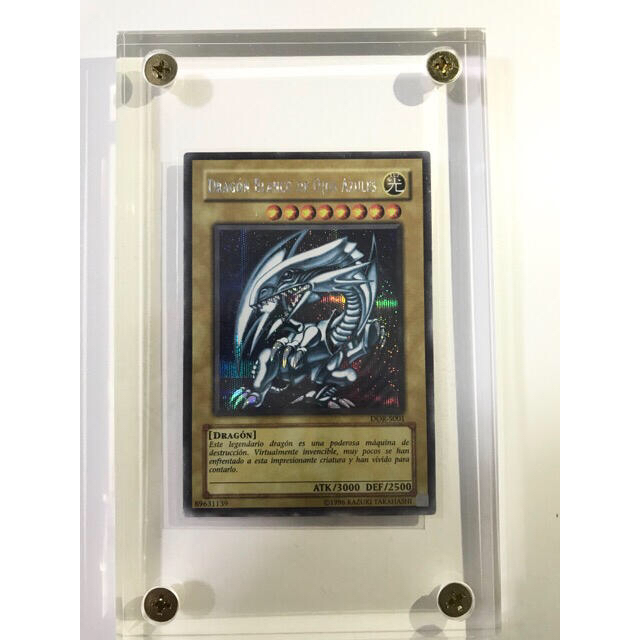 一番の贈り物 遊戯王 - 【スクリューダウン付き】青眼の白竜 スペイン