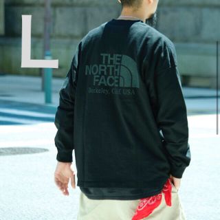 ザノースフェイス(THE NORTH FACE)のサイズ L THE NORTH FACE 8oz L/S Logo Tee(Tシャツ/カットソー(七分/長袖))