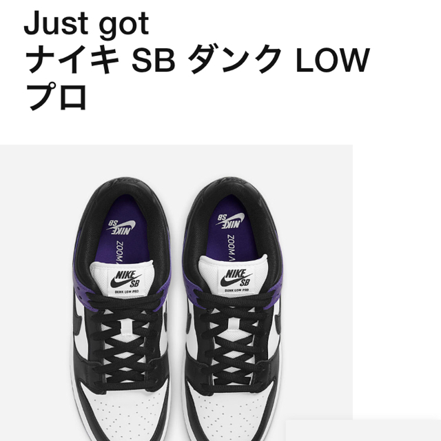 NIKE(ナイキ)のNIKE SB DUNK LOW PRO COURT PURPLE  メンズの靴/シューズ(スニーカー)の商品写真