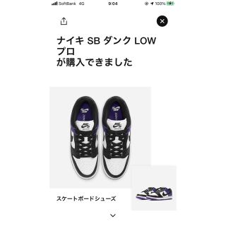 ナイキ(NIKE)のNIKE SB DUNK LOW PRO(スニーカー)