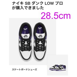 ナイキ(NIKE)のナイキ SB ダンク LOW プロ コートパープル(スニーカー)