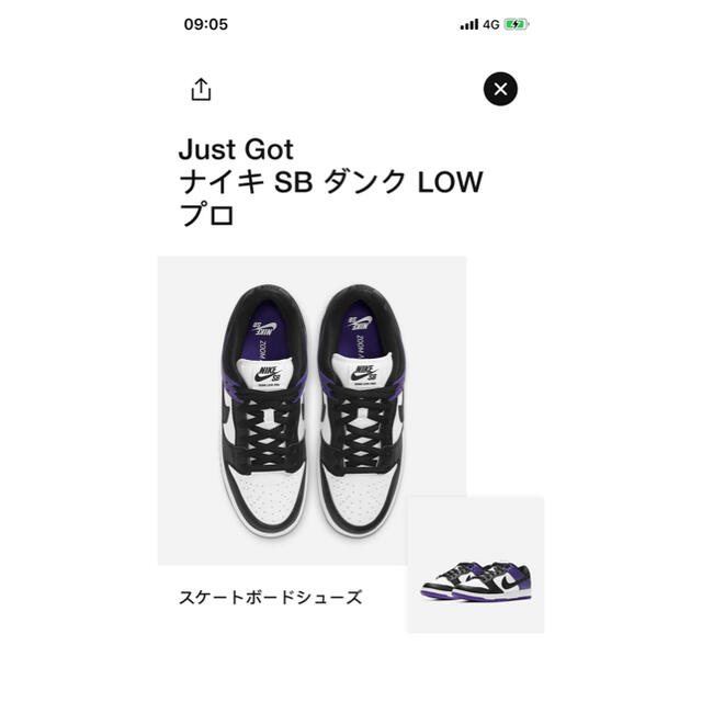 NIKE SB ダンク LOW プロ 25cm