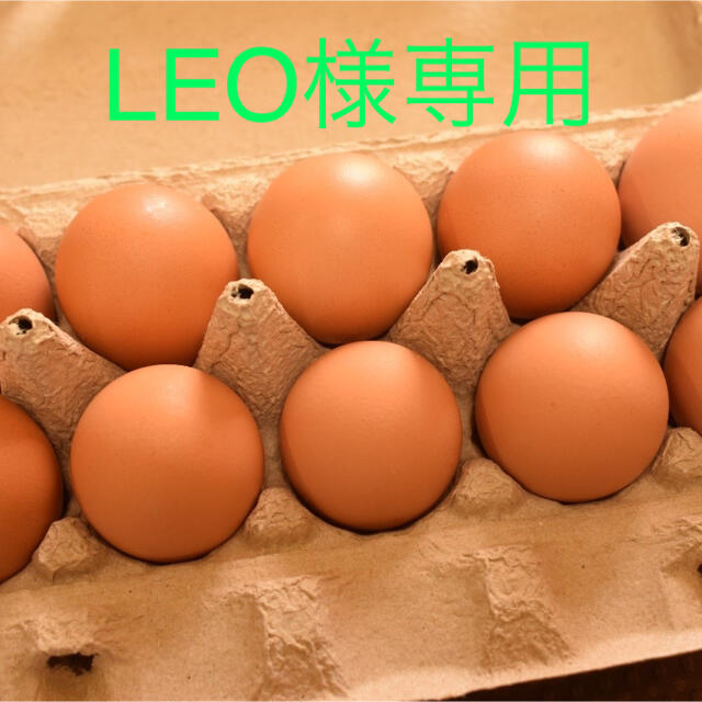 LEO様専用　平飼いたまご50個 食品/飲料/酒の食品(野菜)の商品写真