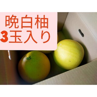 晩白柚、３玉入り、熊本産(フルーツ)