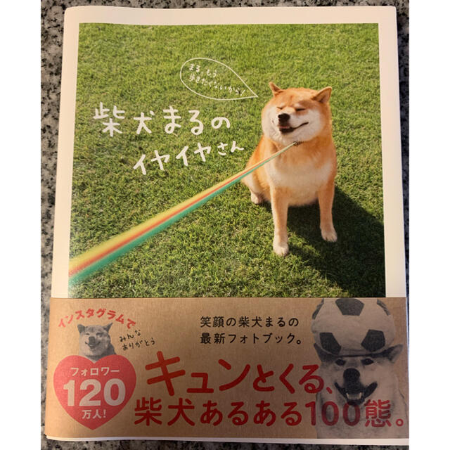 柴犬まるのイヤイヤさん エンタメ/ホビーの本(趣味/スポーツ/実用)の商品写真