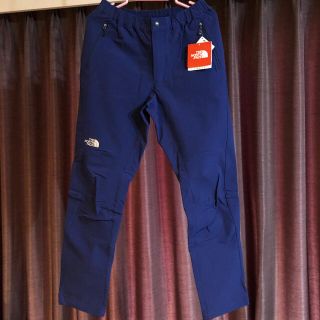 ザノースフェイス(THE NORTH FACE)のノースフェイス　アルパインライトパンツ　レディースM(登山用品)