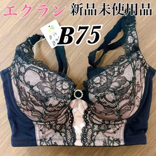 エクラン 補正下着 定価25,300円 ブラジャー ワコール　マルコ　ブラック(ブラ)