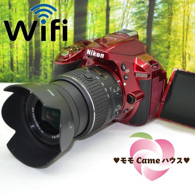 組み合わせ自由自在 Nikon D5300WiFi機能つき希少なレッドカラー