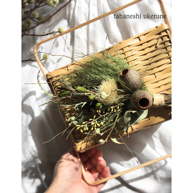 ヤシャブシの蕾とベルギーナッツを添えた少し小振りな スワッグ ドライ ヤシャブシの蕾とベルギーナッツを添えた少し小振りな スワッグ ドライ