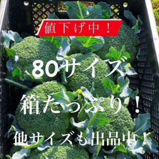 値下げ中！農家直送　採れたてブロッコリー　８０(野菜)